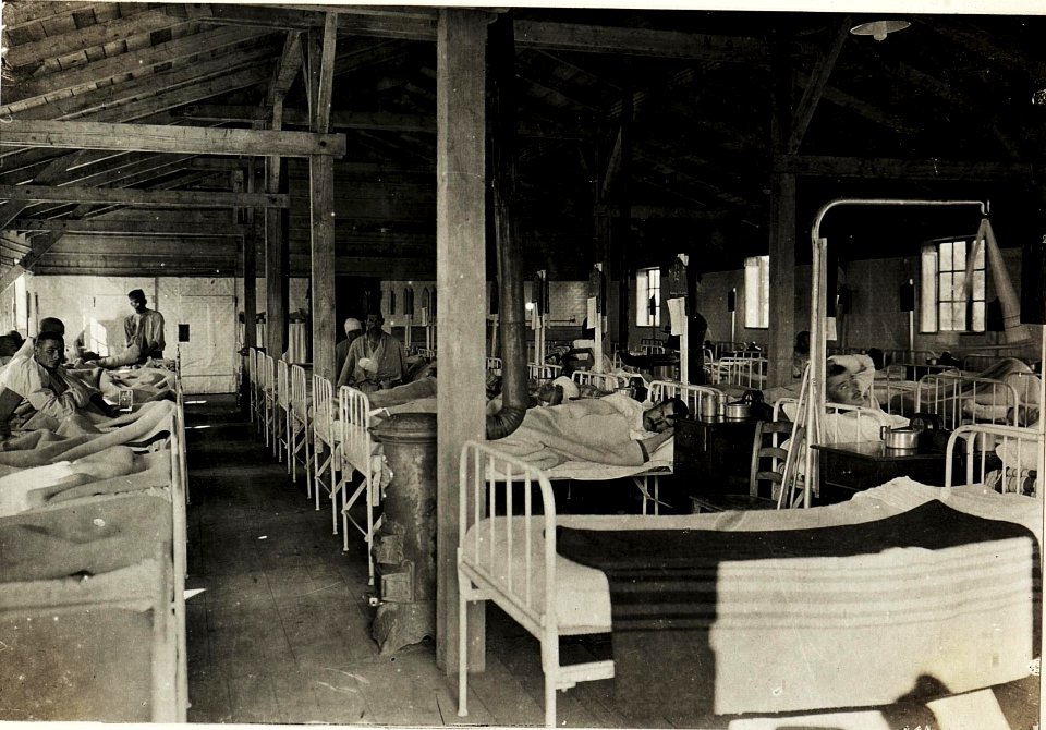 Feldspital in Osek, Innenansicht eines Krankenzimmers, 10.5.1916. (BildID 15594901)