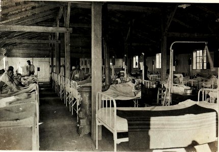 Feldspital in Osek, Innenansicht eines Krankenzimmers, 10.5.1916. (BildID 15594901)