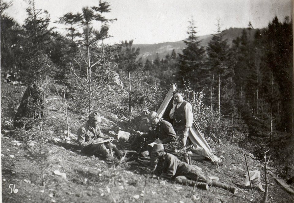 Feldtelefon im Ternovanerwalde. 6.9.17. (BildID 15601989)