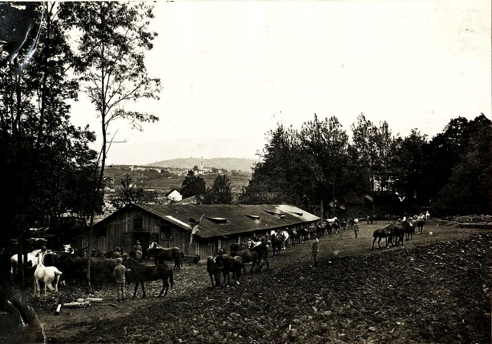 Feldspital 2-16 in Prvacina, Trainbaracke, 10.5.1916. (BildID 15594817)