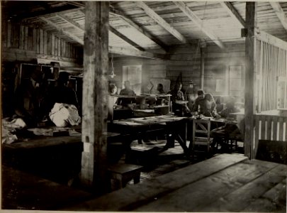 Feldpostamt Nro. 220in SOCA. Aufgenommen am 30. Juni 1916. (BildID 15478829)