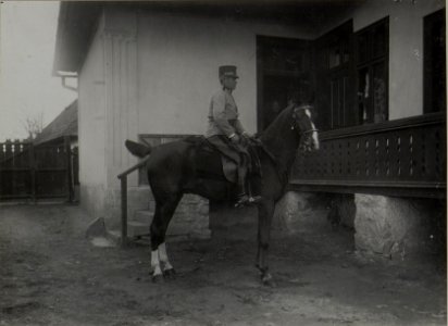 Feldzeugmeister v.Benigni in Bereck, Mai 1917 (BildID 15455478)