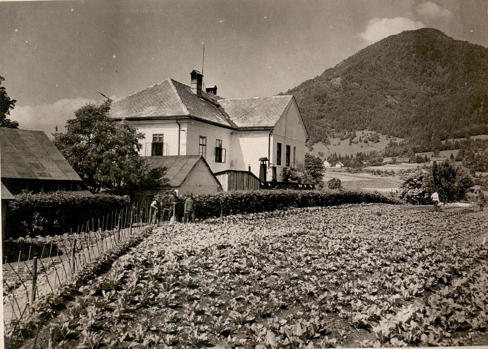 Feldspital in Törl-Maglern.(Gemüsegarten. 15-6.1917.) (BildID 15799034)
