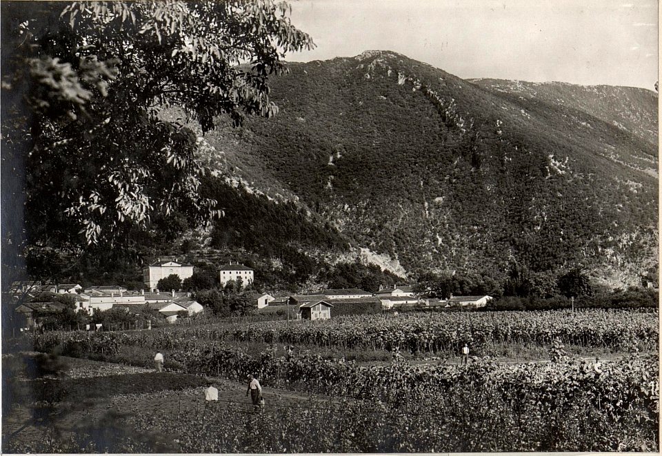 Feldspital, Wippach. (BildID 15600949)