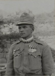 Feldwebel VEIDL Rudolf des k.u.k. Infanterie Regiments Nro. 100, 2. Bataillon, Goldene Tapferkeits Medaille. (BildID 15457957)