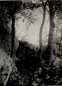 Feldwache an der Terragnolofront. Aufgenommen am 13. Mai 1916. (BildID 15534154)