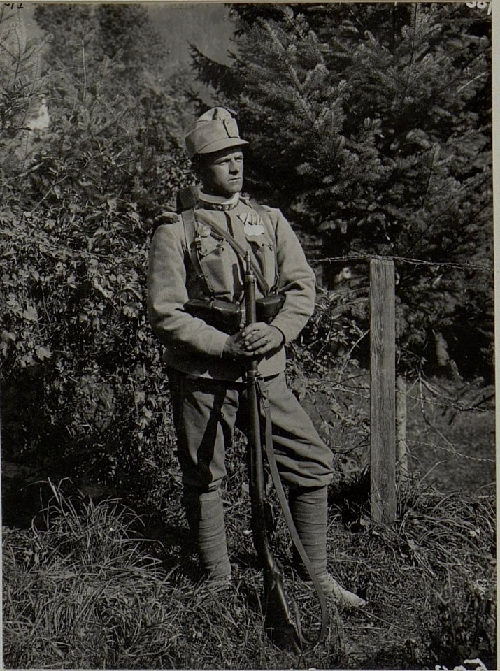 Feldwebel VEIDEL Rudolf des k.& k. Inftr. Regt. No.100. 2.Battailon Goldene Tapferkeitsmadaille. (BildID 15457964)