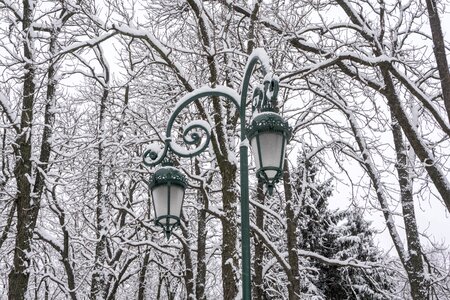 Leann wood park