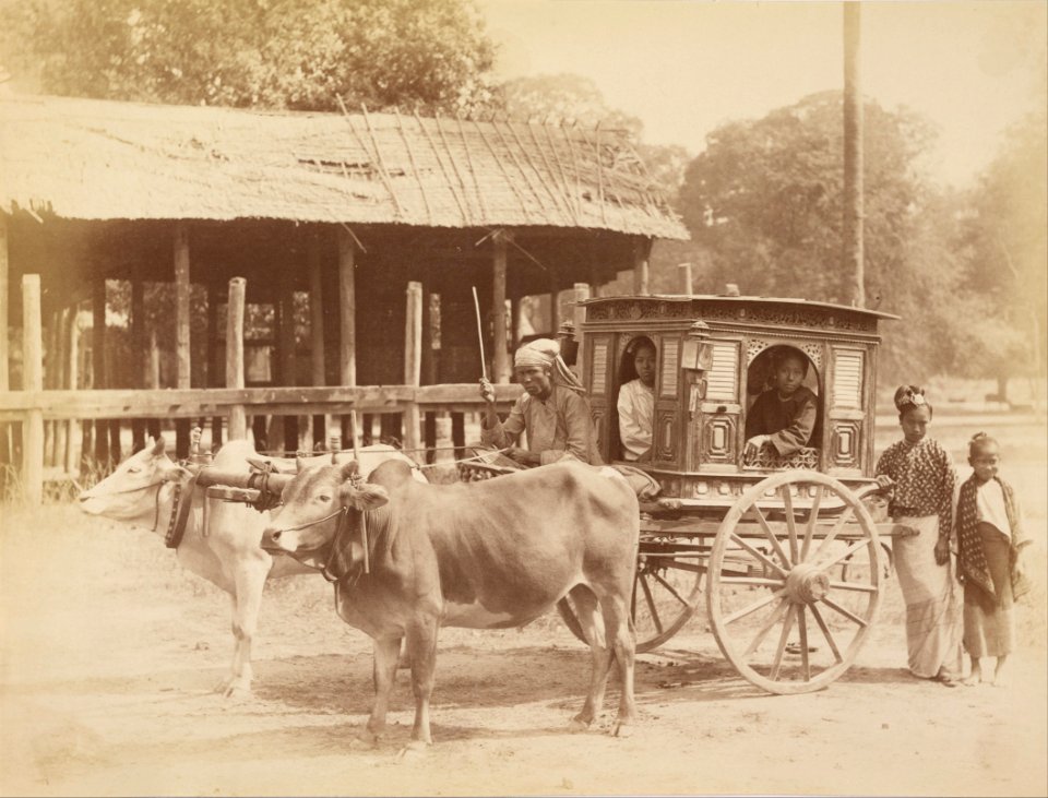 Felice Beato (British, born Italy - Burmese Public Carriage - Google Art Project