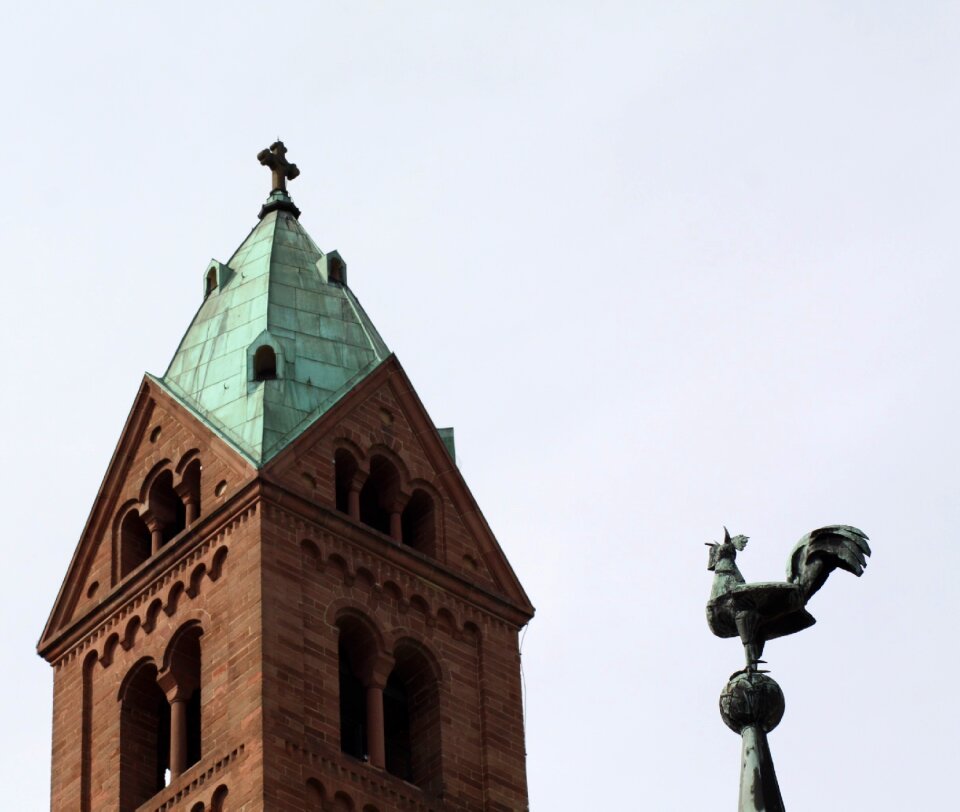 Hahn weather vane architecture photo