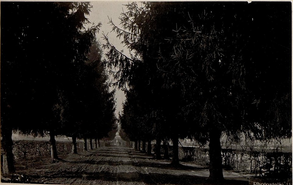 Feltre.Allee. (BildID 15640838)