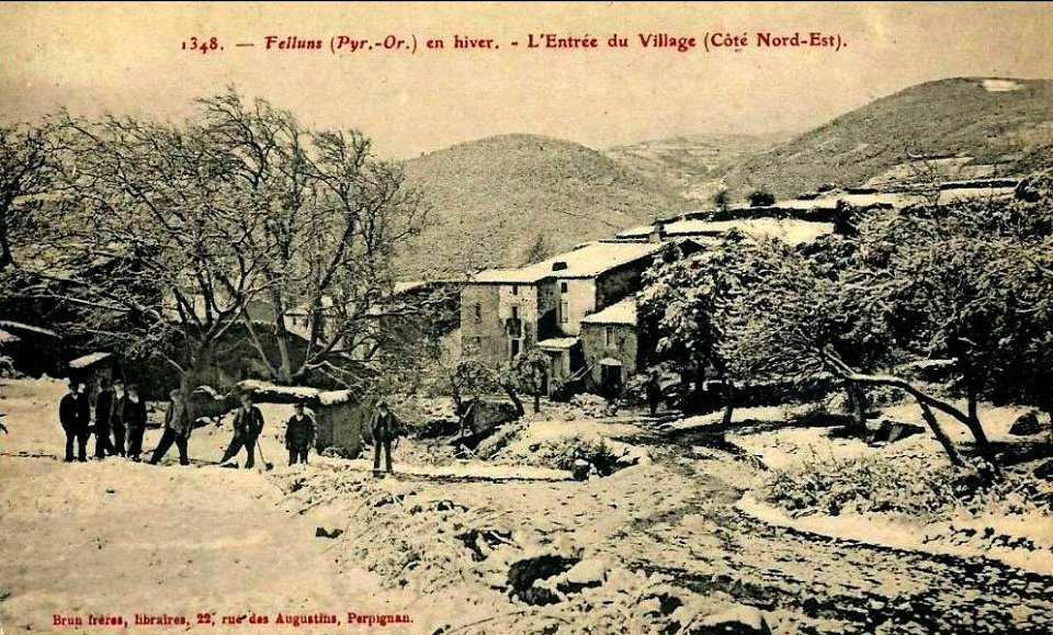 Felluns en hiver (CP Brun)