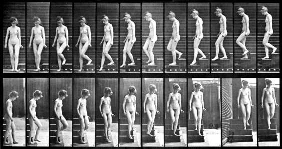 Female nude motion study by Eadweard Muybridge (2)