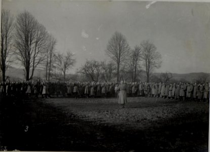 Felzeugmeister von Benigni nimmt Offizieren und Mannschaft den Eid im Dezember 1916 ab (BildID 15455443)