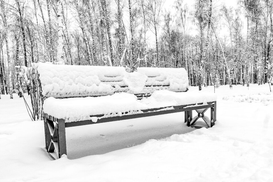 Wood frozen bench