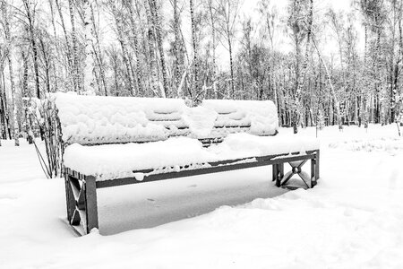 Wood frozen bench photo