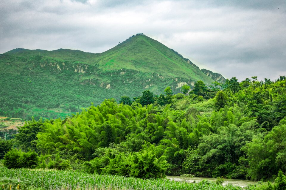 Wood city of yeosu wood city lishui scenic mountain