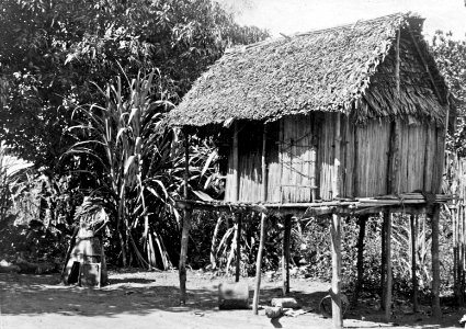 Fenerive, ö. Madagaskar. Risbod och hönshus hos betsinuisaraka. Fenerive - SMVK - 001653 photo