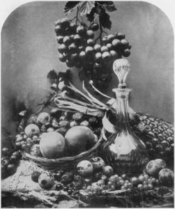 Fenton, Roger - Stilleben – Früchte (Zeno Fotografie)