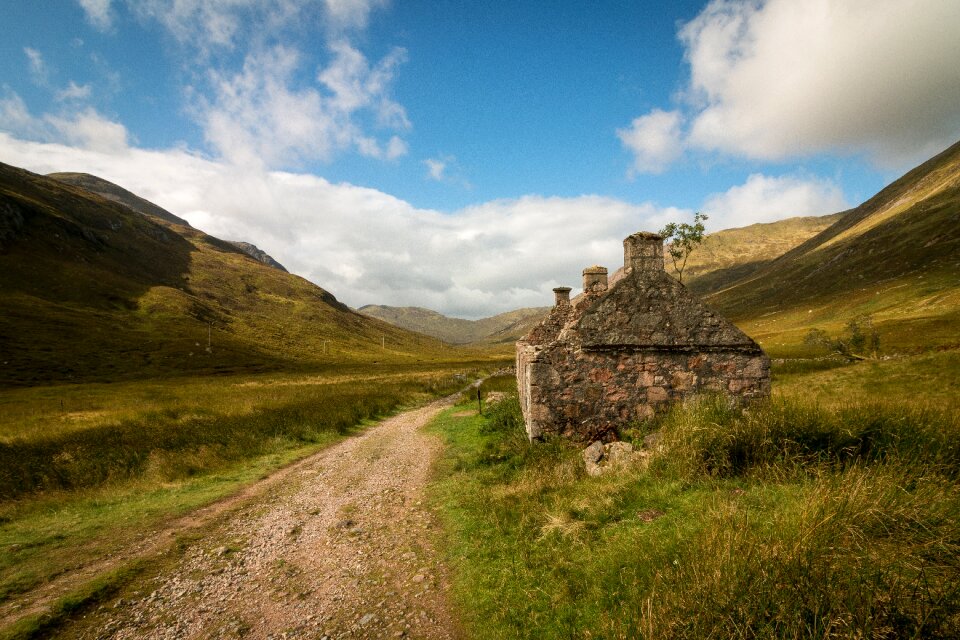 Grass nature highland