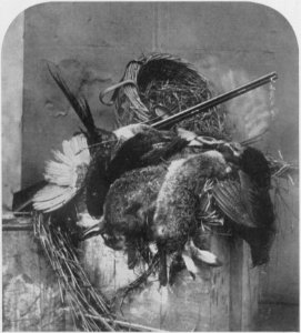 Fenton, Roger - Stilleben (Zeno Fotografie)