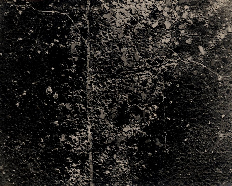 Ferme Cattina en août 1918 - Fonds Berthelé - 49Fi1652