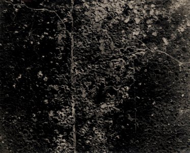 Ferme Cattina en août 1918 - Fonds Berthelé - 49Fi1652