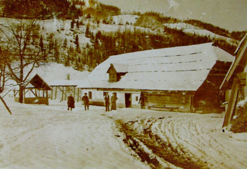 Podnar Bodental 1910