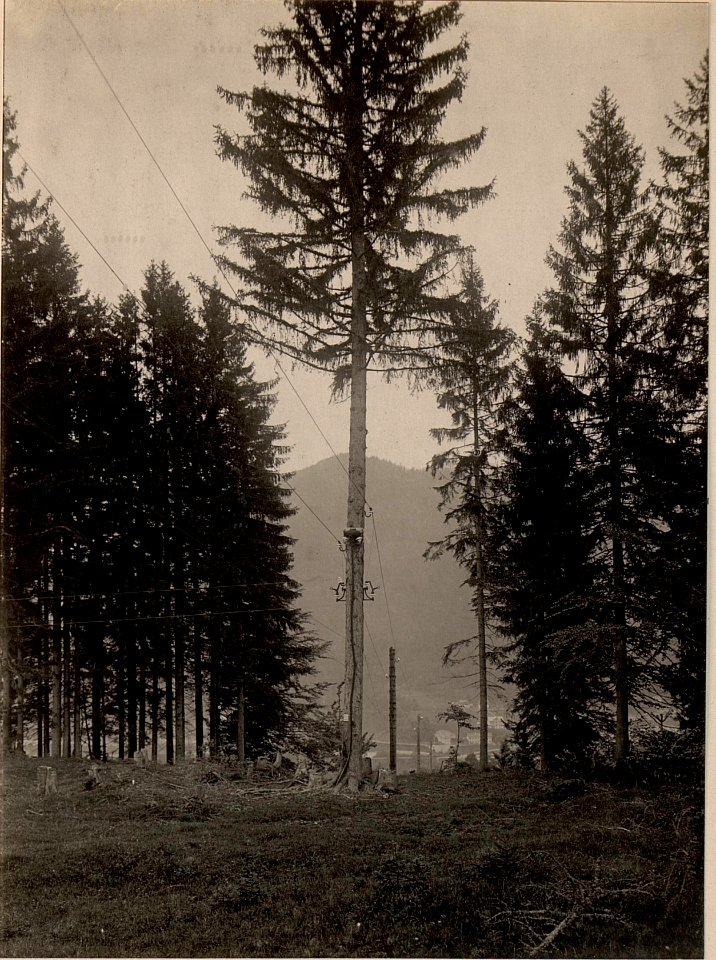 Fernleitung Weissenfels-Speikalpe mit Abzweigung nach Tarvis 10.000 Volt. Aufgenommen am 24. Mai 1916. (BildID 15475510)