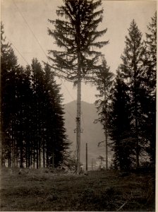 Fernleitung Weissenfels-Speikalpe mit Abzweigung nach Tarvis 10.000 Volt. Aufgenommen am 24. Mai 1916. (BildID 15475510)