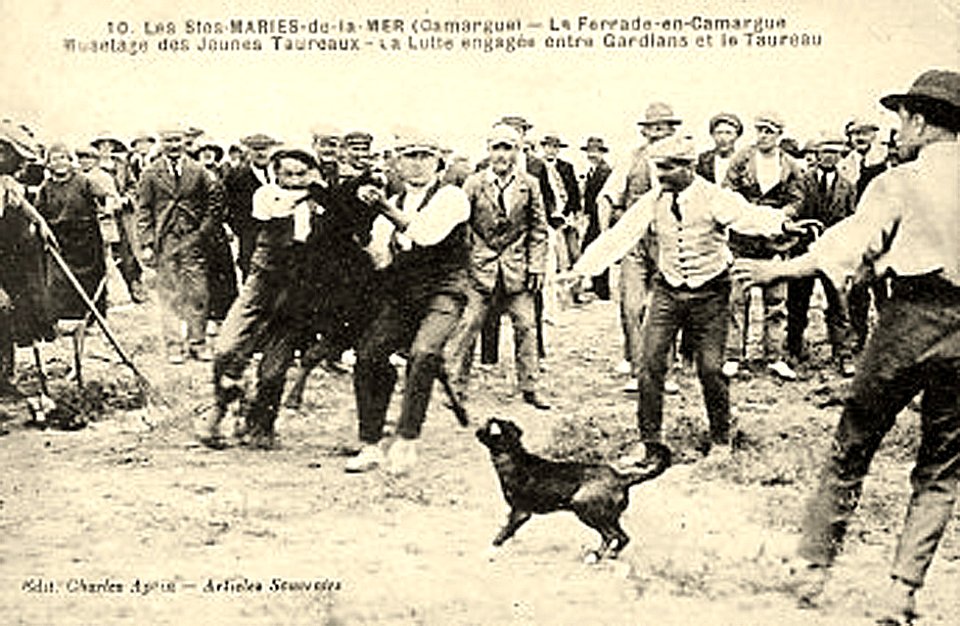 Ferrade aux Saintes