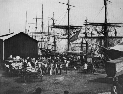 Ferrez, Marc - Kaffeeschiff in Santos, Provinz São Paulo (Zeno Fotografie)