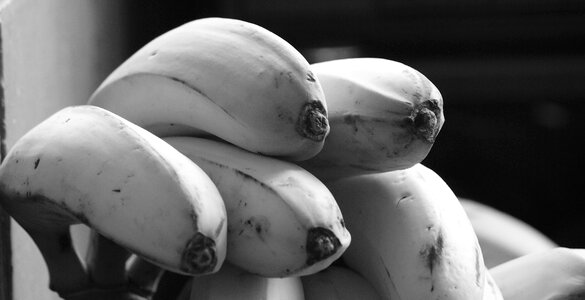 Bananas fruit armenia