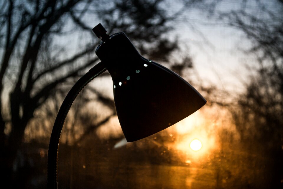 Winter wood silhouette