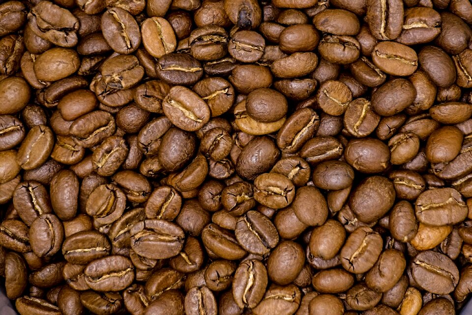 The drink beans mocha