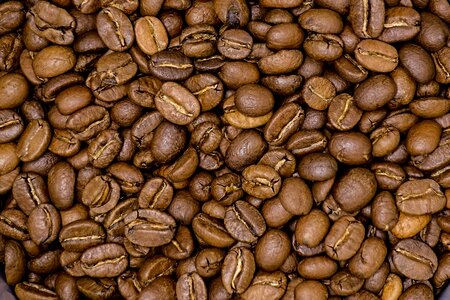 The drink beans mocha
