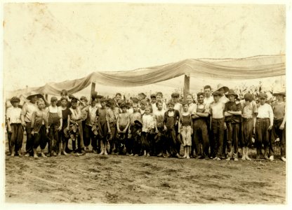 Field-workers, Amer(ican) Sumatra Tobacco Co. The Supt. called the boys out to the end of the rows and we found 47 boys from 9 to 15 yrs. old, all working but could not get hold of them all. LOC nclc.00704