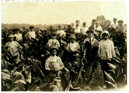 Field-workers, Goodrich Tobacco Farm, near Gildersleeve, Conn. See Report, L.W. Hine. LOC cph.3a20274