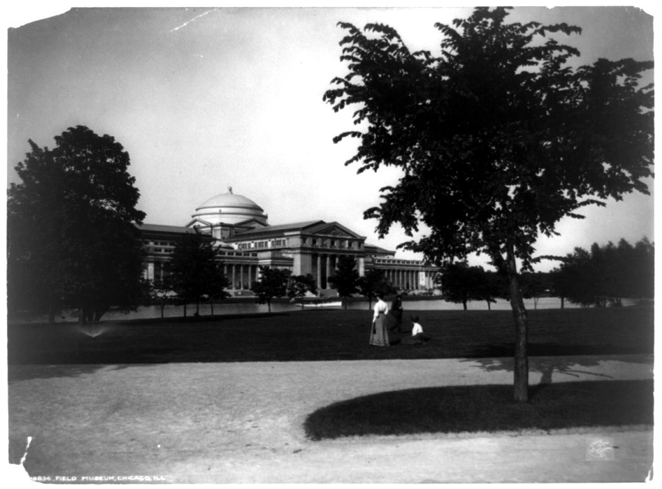 Field Museum, Chicago, Ill. LCCN92521032