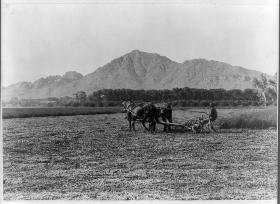 Fields of green alfalfa, Ingleside LCCN2012646373