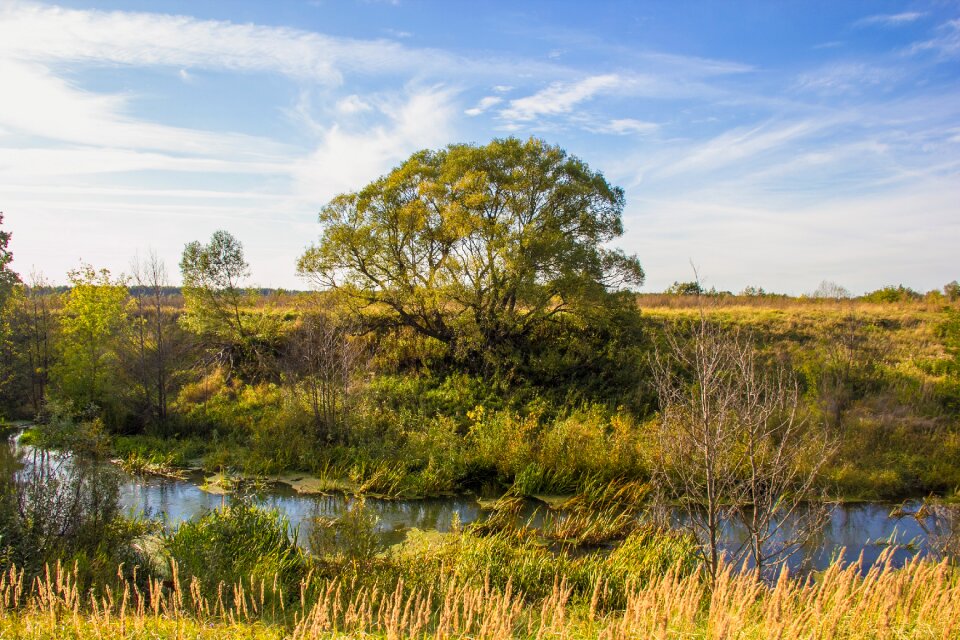 River nature landscape