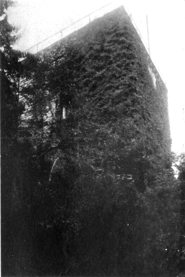 Fig 145, domodossola, castello matarella, torrione, p224, foto Nigra, nigra il novarese