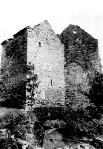 Fig 21, casa forte di pontemaglio, fronte sud, p139, foto nigra, nigra il novarese