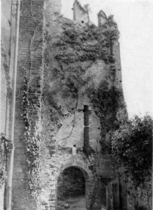 Fig 117, castello di barengo, seconda porta, p203, foto nigra, nigra il novarese