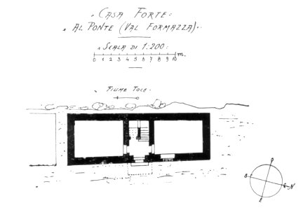Fig 31, casaforte al ponte, val formazza, pianta, p145, dis nigra, nigra il novarese