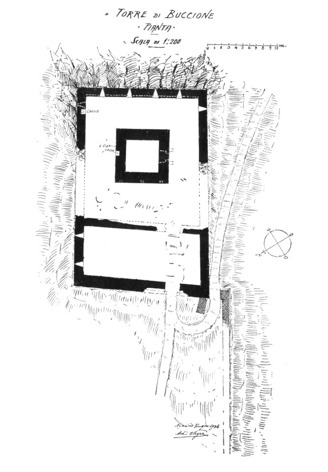 Fig 17, torre di buccione, pianta p137, dis nigra, nigra il novarese