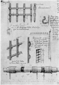 Fig A, p126, dis d andrade, nigra il novarese