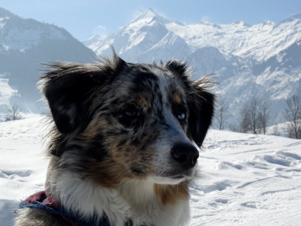 Nature mountain frozen