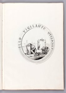Figur i Emblematica Arcis Regiae Stetinensis Delineatio - Skoklosters slott - 93724