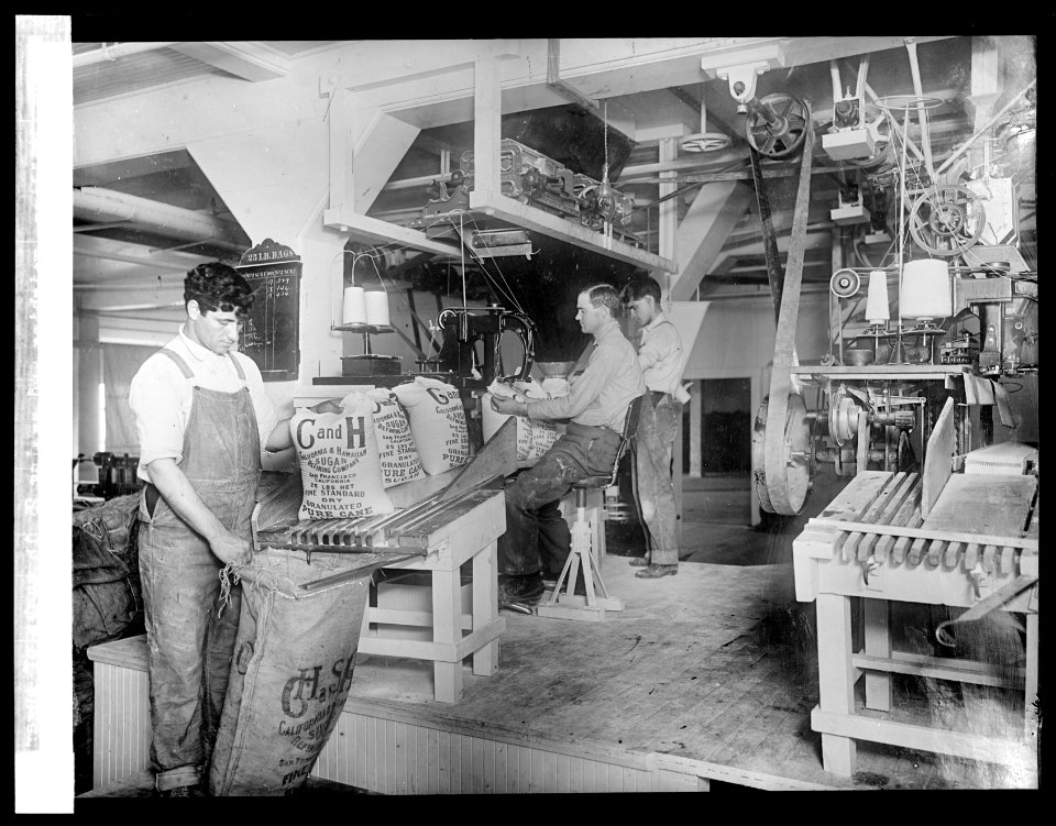 Filling, weighing and sewing 25 lb sacks of sugar LCCN2016824512